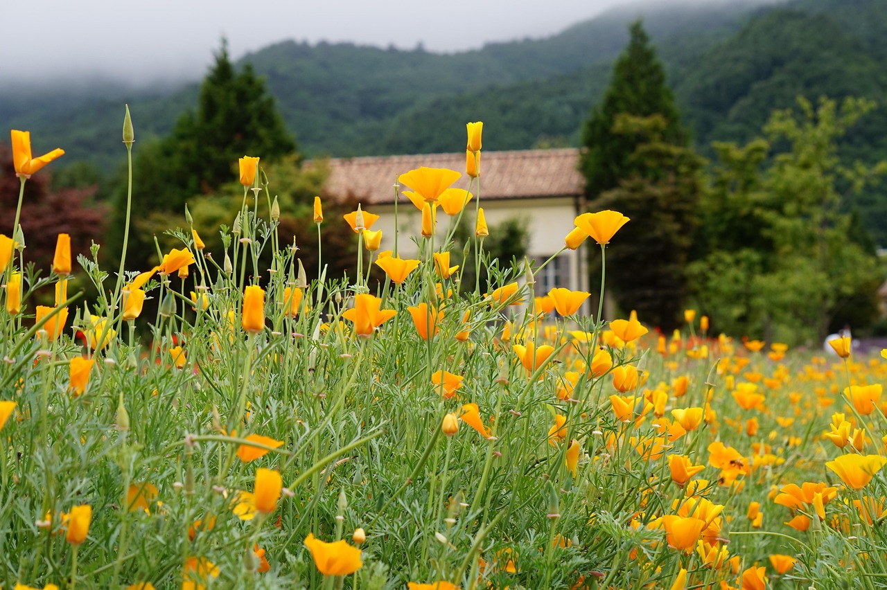 津南代理商标注册哪个好