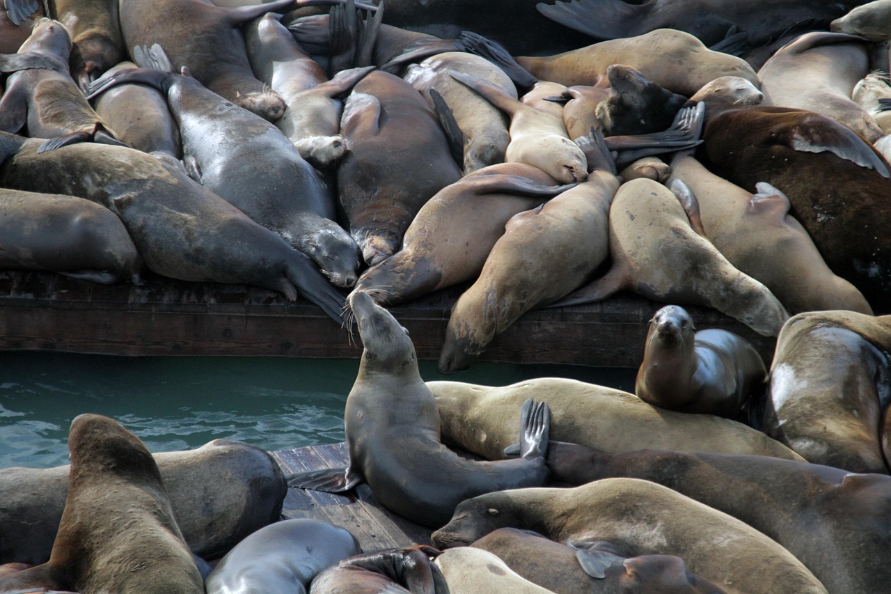 新天龙八部:全民app详情下载教程