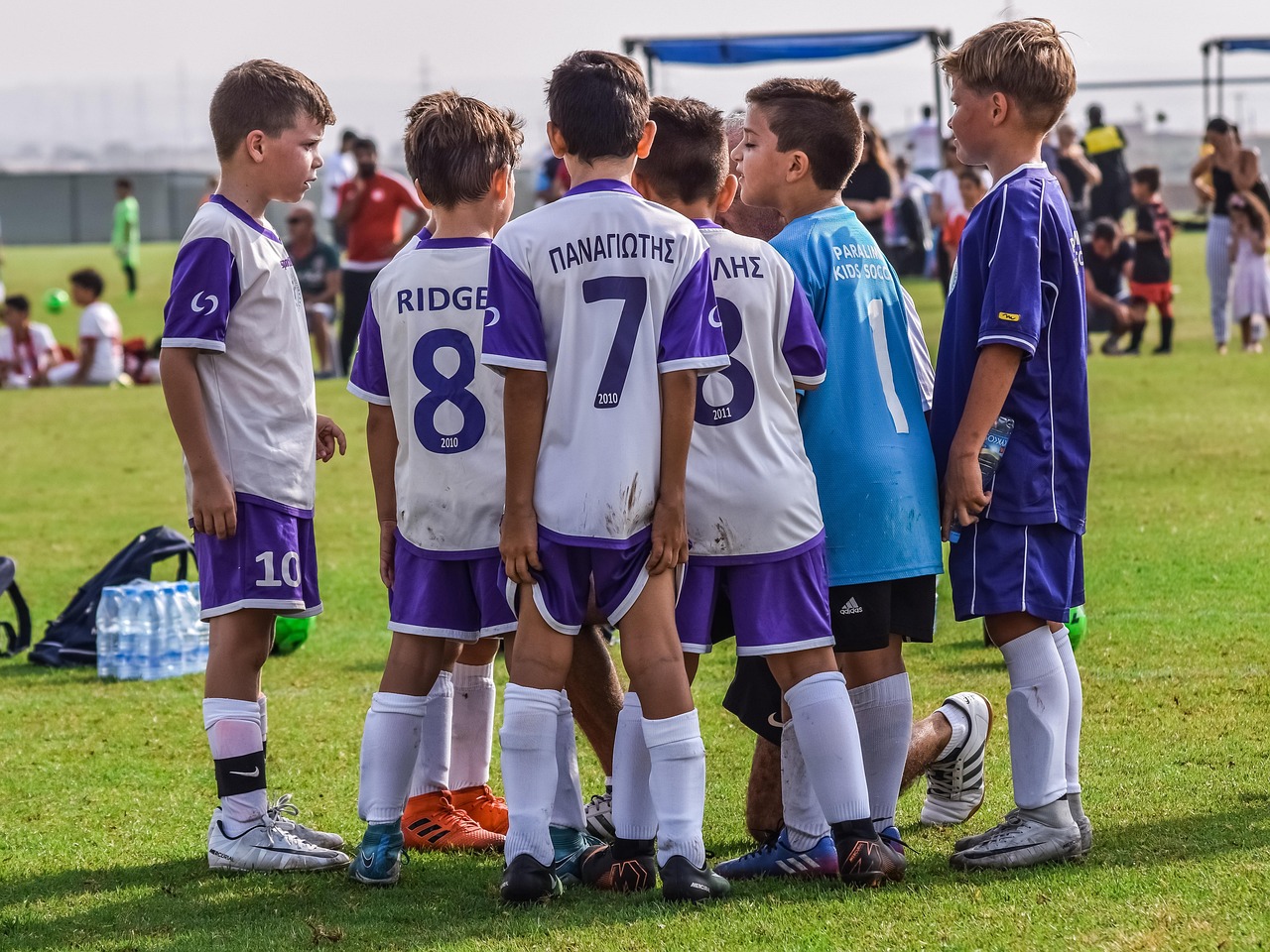 血族:上海配送平台代理配送