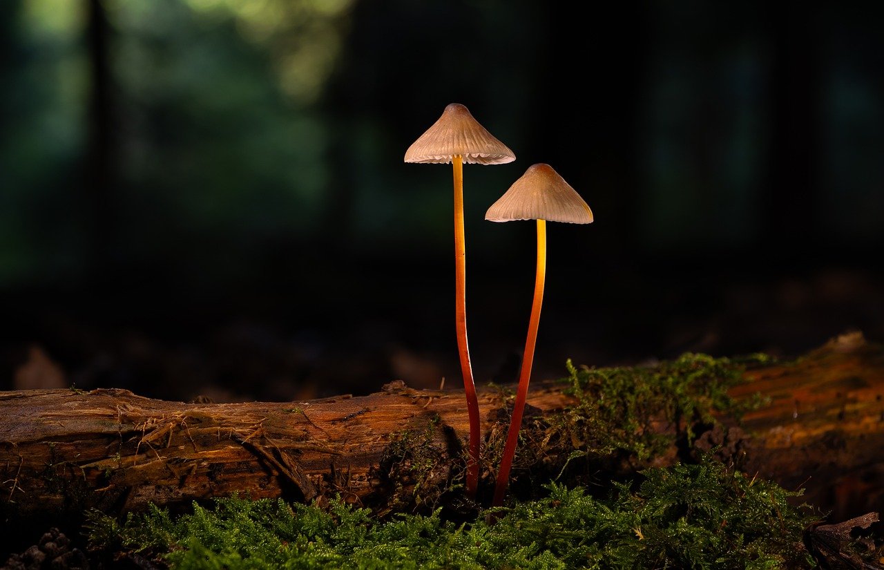 敢达争锋对决：潍坊代理注册注销