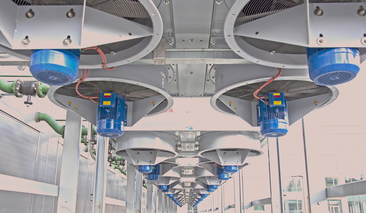 铁塔猫糖果双爆珠(细):详情下载教程app苹果手机