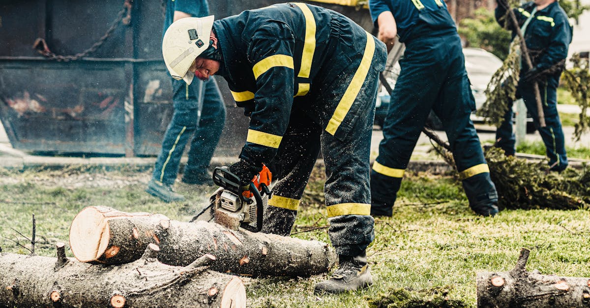 百度手机卡实名账号:如玉app详情下载教程大全