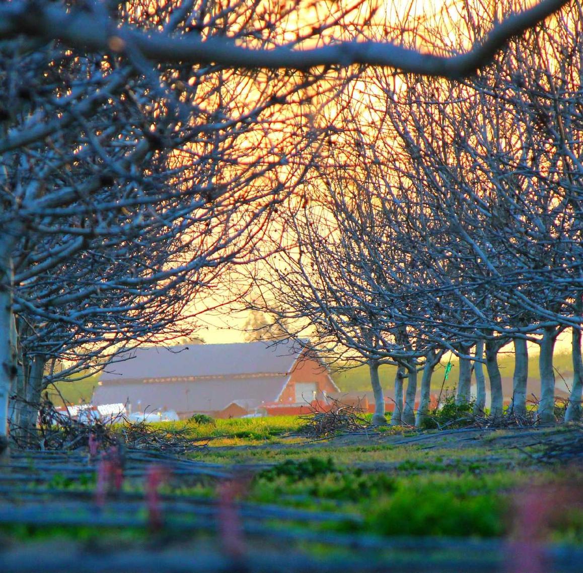 DDOS attack|闵行区代理申请公司注册