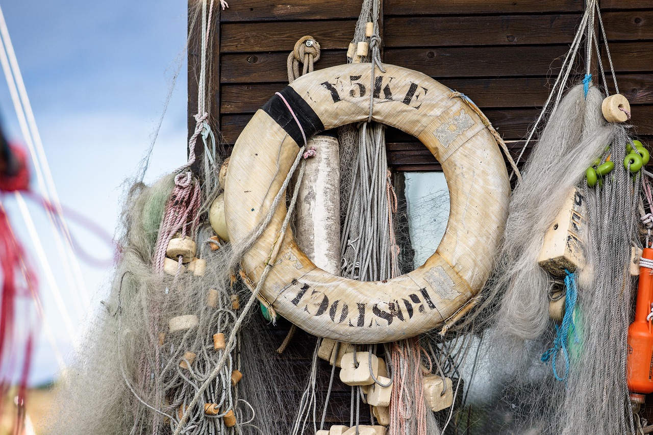 Peel百乐陈皮爆珠(细):焦作水果玉米种子购买平台